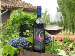Cascina Collina Barbera d'Asti "dolore passionale" Bestillingsnummer 56297