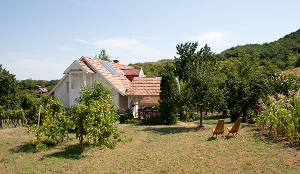 vingard-ungarn-1 Sommerhus til leie