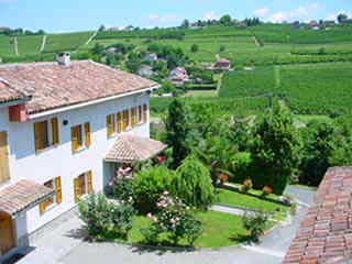 vingård piemonte