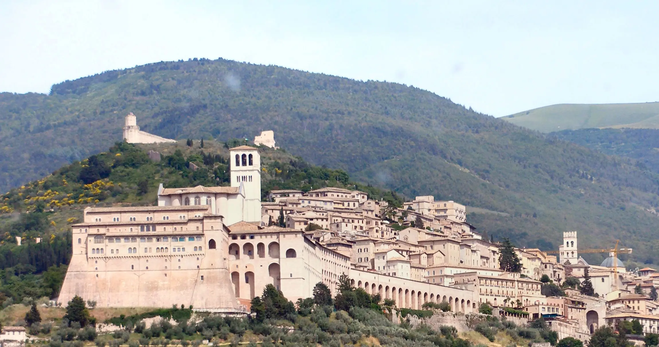 assisi