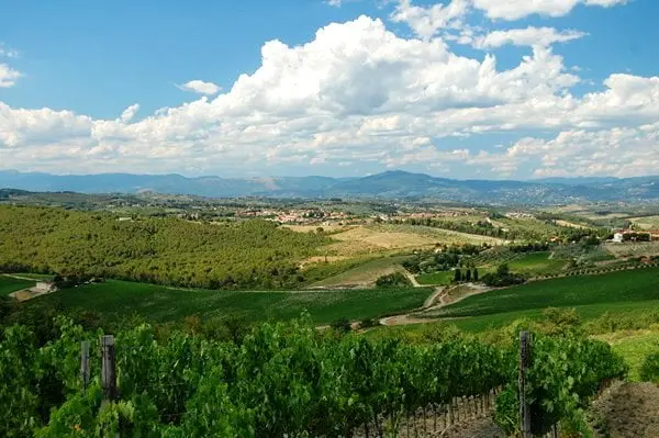 vingårdsferie toscana