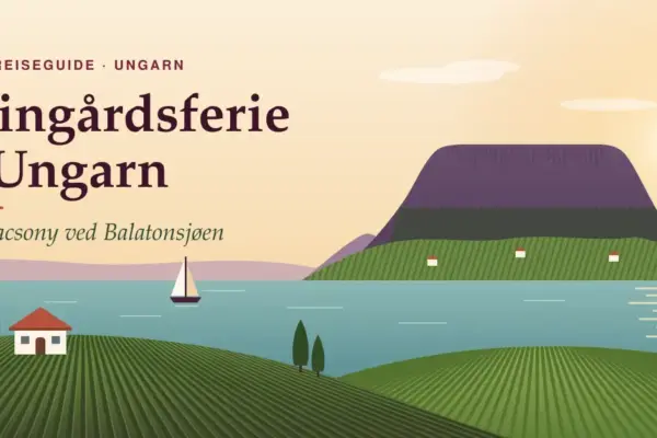 Illustrasjon av den flate vulkantoppen Badacsony med vinranker i skråningene over Balatonsjøen i solnedgang, med en seilbåt på vannet, et hvitt presshus i vingården i forgrunnen og teksten «Vingårdsferie i Ungarn – Badacsony ved Balatonsjøen».