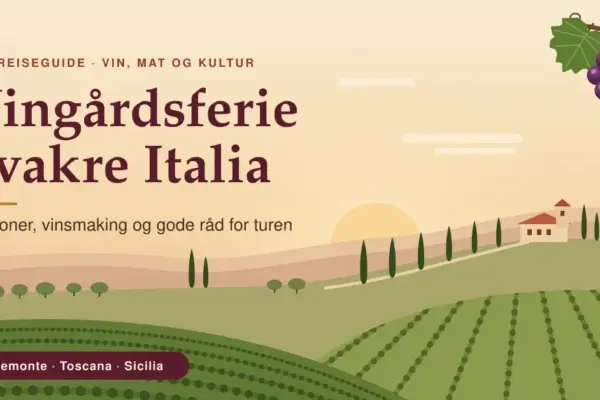 Illustrasjon av et italiensk vingårdslandskap i solnedgang med vinranker, sypresser, et gårdshus på en ås og en drueklase, med teksten «Vingårdsferie i vakre Italia».