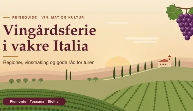Illustrasjon av et italiensk vingårdslandskap i solnedgang med vinranker, sypresser, et gårdshus på en ås og en drueklase, med teksten «Vingårdsferie i vakre Italia».